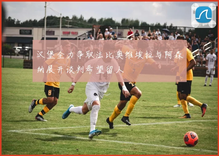 汉堡全力争取法比奥维埃拉与阿森纳展开谈判希望留人