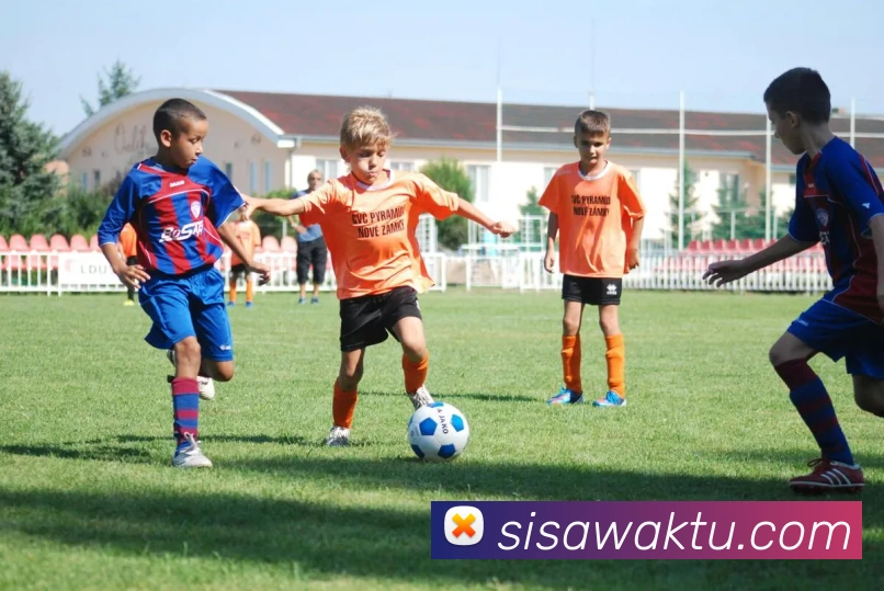 体育直播服务